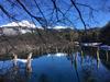 Refugio Natural Conguill�o