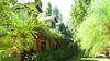 Hotel Boutique Sabores Del Campo