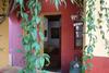 Agroturismo Hostal Los Casta�os