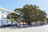 Apartamento El Bot�nico Gaditano