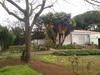 Relaxing Villa Oromana 1