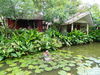 Hotel Kata Country House