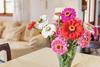 Es Tur� Des Bessons