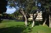 Apartamentos Royal S�alguer