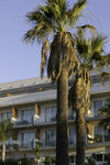 Hotel Catalonia Mirador Des Port