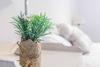 Apartamento Old Town 7px&3br Apt Metropolparasol