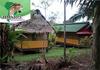 Jibaro Tours & Expeditions - Lodge