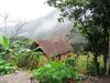 Eco Terra Lodge