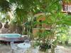 Apartamento Villas Sirenas Tulum