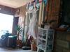 Hotel Atenas Jeric�