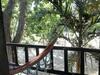 Hostal Caba�as Bachue
