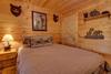 Tree Song Mountain Creek Cabin