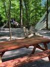 Bed & Breakfast Fox Pass Cabins