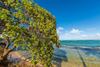 Apartamento (kk211-s) Kauai Kailani, Studio