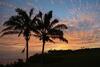 Apartamento (Kk211-2) Kauai Kailani, 2 Bedroom