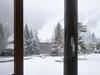 Greyhawk At The Ski Lifts -the Artisan