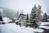Greyhawk At The Ski Lifts -the Artisan