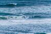 Pacific Breeze House 2157