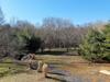The Shuck - Christophers Riverside Cabin 1