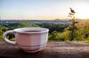 A Grand View From Above #225 - Two Bedroom Cabin