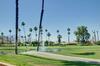 Golf Lover's Haven