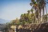Apartamento Surfs Up Pb - 2 Condos, Walk To Beach!