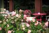 Hotel Best Western Roemerhof