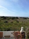 Villa Holiday Special House