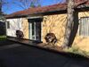 Hotel Kickback Cottages