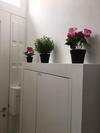 Bra.com Apartments Oporto Campanh�
