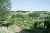 Hotel Country House La Madonnina