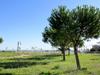 Apartamento Residence Blue Bay Resort 180s