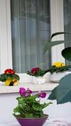 "villa Al Mare" B&B