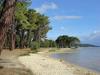 Apartment Biscarrosse Plage - 4 Personnes 3