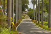 Hotel Fairmont Royal Pavilion