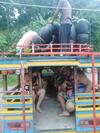 Chang Bed And Bar Hostel