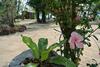 Bed & Breakfast Bangbaobeach Resort