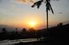 Lodge Puri Sunny Camp
