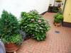 Apartamento Ferienwohnung Hahns