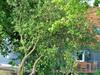Landhaus Mit S�dterrasse Am Teich