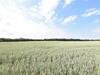 Apartamento Zum Breitling 6