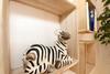 Apartamento Haus Holstein Whg. 11 & 12