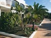 Apartamentos Las Palmeras II