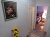 Apartman Tea 2