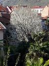 Apartamento Villa Flower With Free Onsite Parking