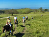 Hotel Borinquen Mountain Resort And Spa