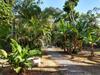 Apartamento Suites Coqueiros Itamambuca