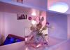Apartamento Minismart Complex Rainbow Garden And Jacuzzi