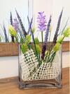 Apartamento Minismart Complex Rainbow Garden And Jacuzzi