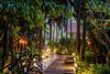 Hotel Silk Wild Residence